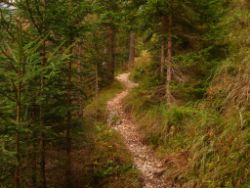 2013-10-08_Guffert (010).JPG